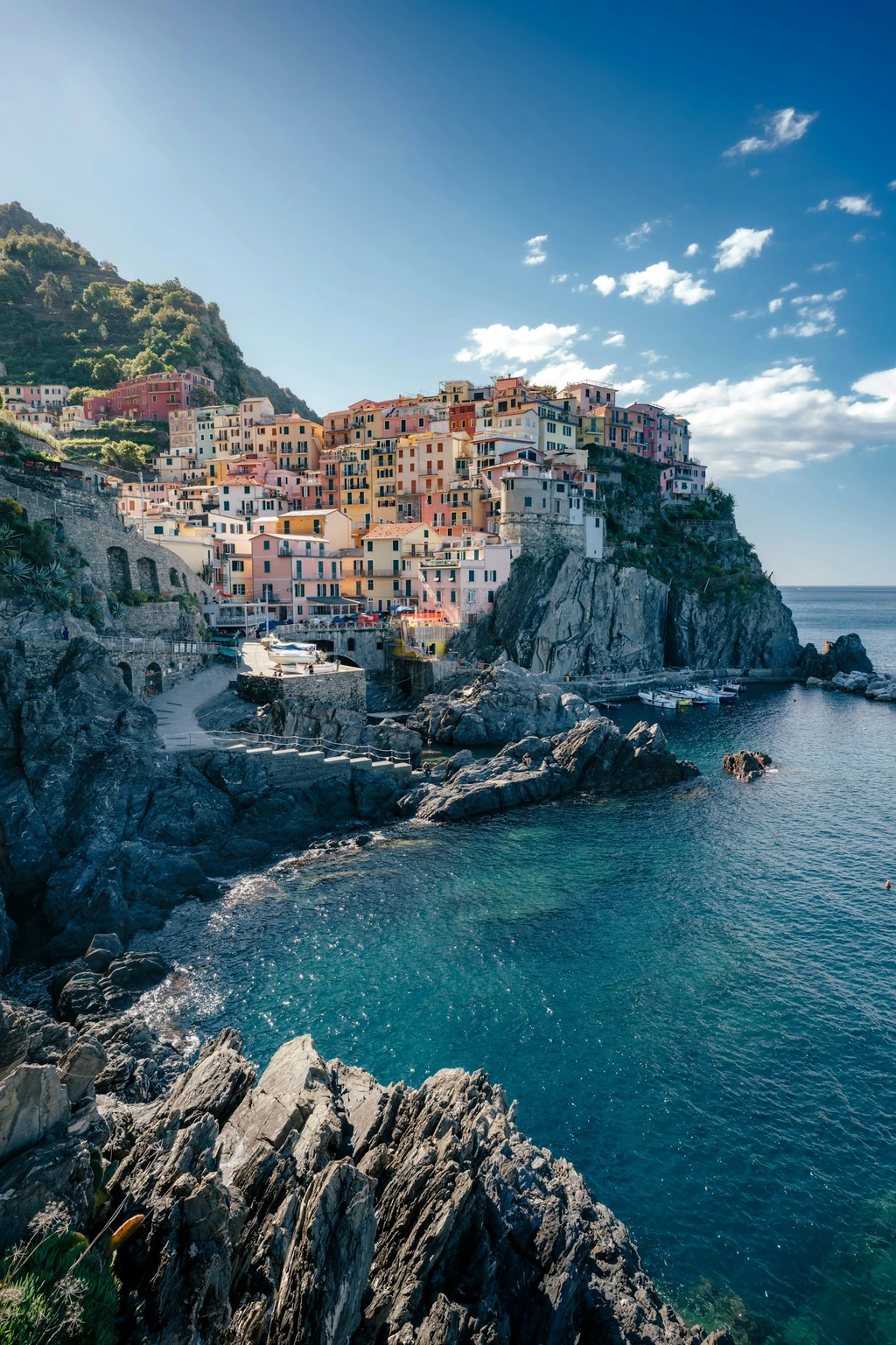 Le case di Manarola sopra la costa